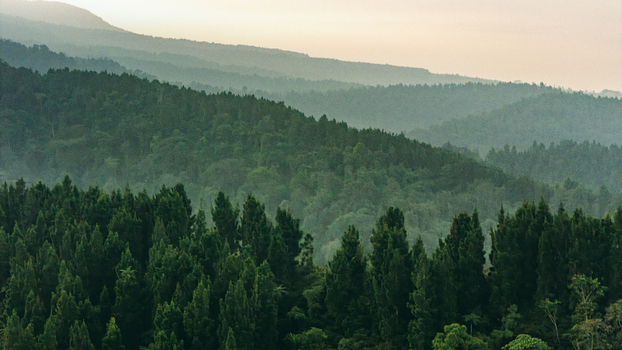 Aerial view of dense tropical forest and rolling hills covered in morning mist under a soft sky in Sukabumi West Java Indonesia. Aerial view of dense tropical forest and rolling hills covered in morning mist under a soft sky in Sukabumi West Java Indonesia.