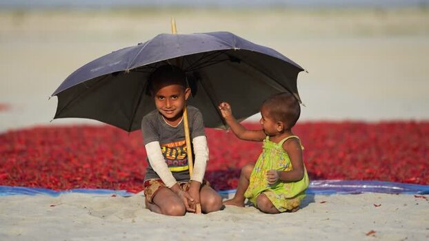 View of children under an umbrella near drying chilies Bangladesh. View of children under an umbrella near drying chilies Bangladesh.
