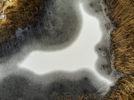 Aerial view of winter s icy grip on Kromslootpark where frosted edges meet the stark white canvas of frozen water Almere Flevoland Netherlands. Aerial view of winter s icy grip on Kromslootpark where frosted edges meet the stark white canvas of frozen water Almere Flevoland Netherlands.
