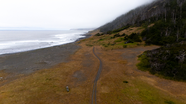 Aerial view of the rugged Lost Coast shoreline featuring a dark sand beach and a winding dirt path along misty forested hills in Humboldt County California United States.