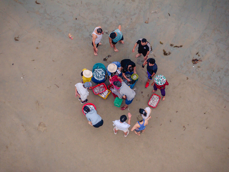 Aerial view of fishermen sorting freshly caught fish in colorful baskets on a sandy beach in Vietnam. Aerial view of fishermen sorting freshly caught fish in colorful baskets on a sandy beach in Vietnam.