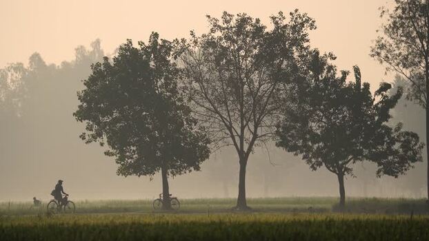 View of a cyclist riding past trees in the morning mist Bangladesh.