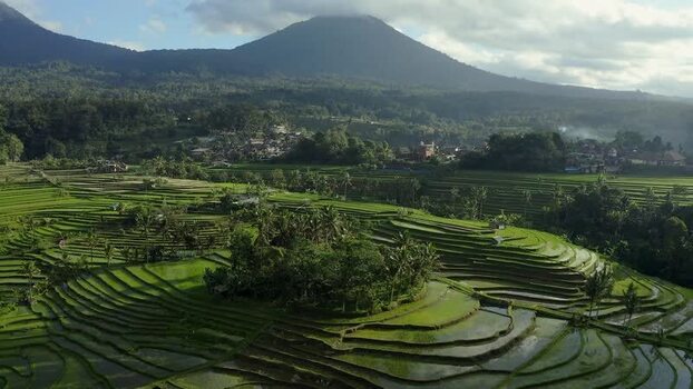 Aerial view of Jatiluwih rice terraces and mountains Indonesia.