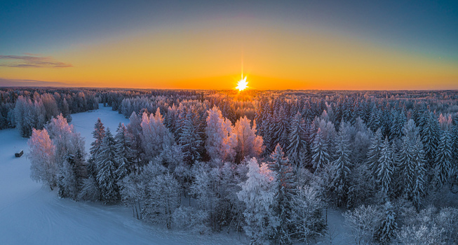 Aerial view of a snow covered forest during a vibrant sunrise with golden light illuminating the frost covered trees and a clear horizon in Latvia. Aerial view of a snow covered forest during a vibrant sunrise with golden light illuminating the frost covered trees and a clear horizon in Latvia.