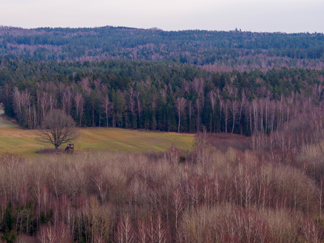 Aerial view of dense mixed forests and rolling hills with a small meadow and a hunting stand under a soft evening sky in Lithuania. Aerial view of dense mixed forests and rolling hills with a small meadow and a hunting stand under a soft evening sky in Lithuania.