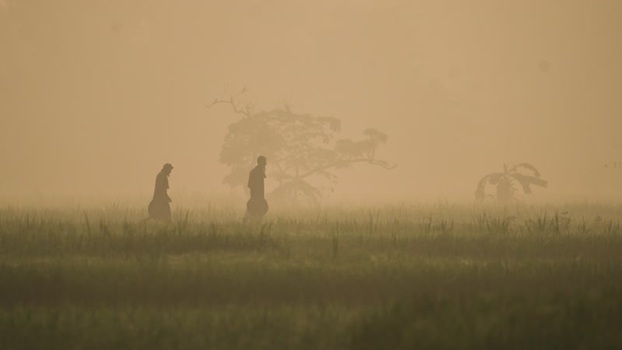 View of people walking through misty fields in Bogura Bangladesh. View of people walking through misty fields in Bogura Bangladesh.
