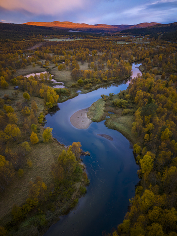 Aerial view of River Ljusnan winding through autumn colored forests and meadows at sunrise in Bruksvallarna Jamtland County Sweden.