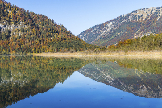 View of Offensee lake reflecting autumn colored mountains under a clear blue sky with vibrant fall foliage on the slopes Ebensee Upper Austria Austria. View of Offensee lake reflecting autumn colored mountains under a clear blue sky with vibrant fall foliage on the slopes Ebensee Upper Austria Austria.