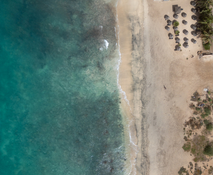 Aerial view of turquoise ocean waves washing onto a sandy beach with straw umbrellas and palm trees in Santa Maria Sal Cabo Verde. Aerial view of turquoise ocean waves washing onto a sandy beach with straw umbrellas and palm trees in Santa Maria Sal Cabo Verde.