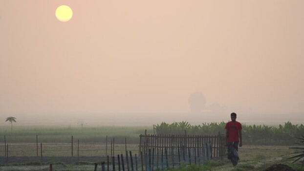 View of a man walking in a field at sunrise in Bogura Bangladesh.