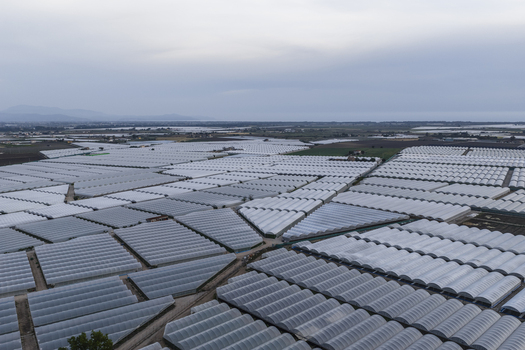 Aerial view of a vast expanse of agricultural greenhouses and polytunnels stretching across the landscape under an overcast sky in Paestum Campania Italy.