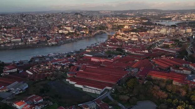 Aerial view of Dom Lu&iacute;s I Bridge Porto Portugal.