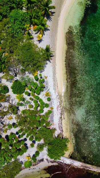 Aerial view of the tropical coastline in Guanaja Honduras.