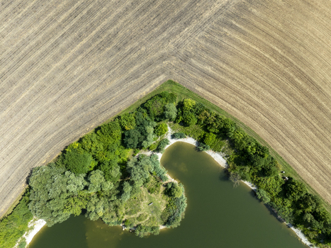 Aerial view of a pond surrounded by lush green trees and adjacent agricultural fields in Aschheim Bavaria Germany.