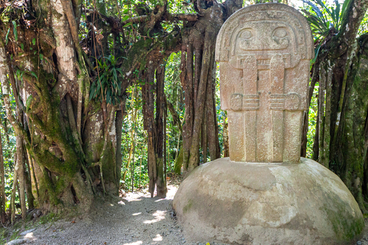 View of the ancient stone monolith at San Agustin Archaeological Park surrounded by lush forest trees with exposed roots in San Agustin Huila Colombia.