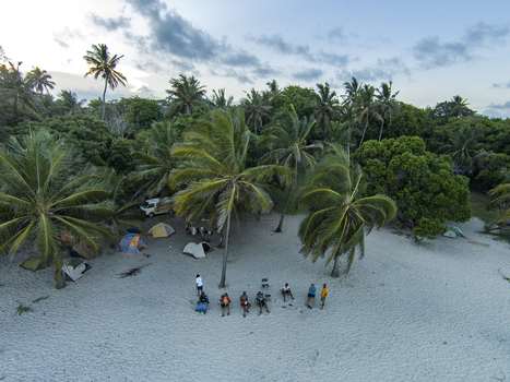 Aerial view of Tiwi Beach with camping tents and people sitting under palm trees on the white sand Tiwi Wilaya ya Kwale Kenya. Aerial view of Tiwi Beach with camping tents and people sitting under palm trees on the white sand Tiwi Wilaya ya Kwale Kenya.