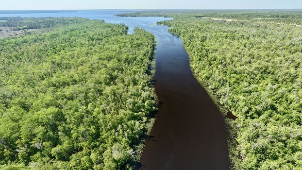 Aerial view of the dark waters cutting through the vibrant green forests near Palmo Fish Camp Road St. Augustine Florida United States. Aerial view of the dark waters cutting through the vibrant green forests near Palmo Fish Camp Road St. Augustine Florida United States.