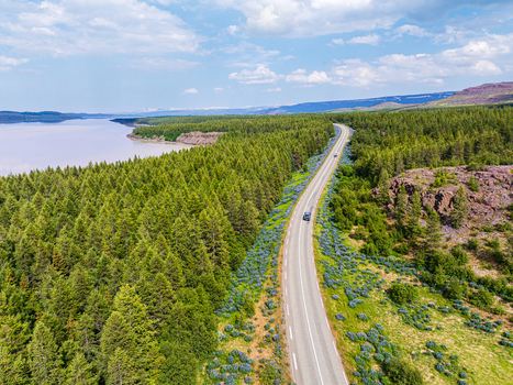 Aerial view of a winding road cutting through a dense coniferous forest beside a calm lake under a bright blue sky in Iceland. Aerial view of a winding road cutting through a dense coniferous forest beside a calm lake under a bright blue sky in Iceland.