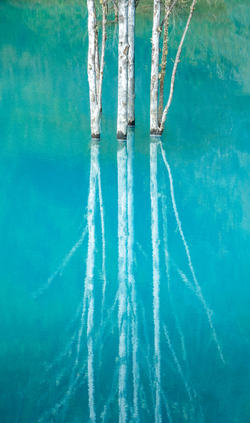 Brasov Romania 21 September 2026 Aerial view of dead trees standing in the turquoise water of a flooded area with clear reflections on the surface. Brasov Romania 21 September 2026 Aerial view of dead trees standing in the turquoise water of a flooded area with clear reflections on the surface.