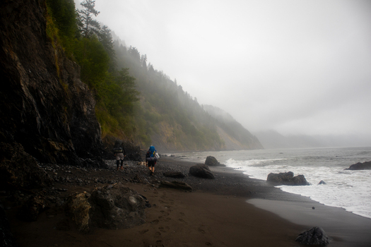 View of two backpackers walking along the dark sand beach of the Lost Coast beneath misty forested cliffs in Humboldt County California United States.