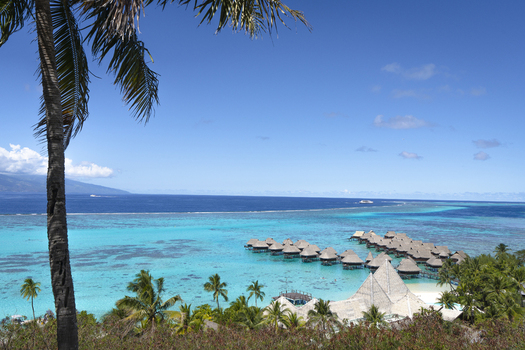 View of overwater bungalows in a turquoise lagoon with lush palm trees and distant mountains under a clear blue sky in Moorea Maiao Windward Islands French Polynesia.