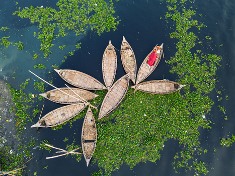 Dhaka Division Bangladesh 23 January 2026 Aerial view of wooden boats arranged in a circular pattern on the Buriganga River surrounded by green water hyacinths.