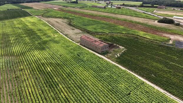 Aerial view of agricultural fields and a rustic barn in Spain. Aerial view of agricultural fields and a rustic barn in Spain.