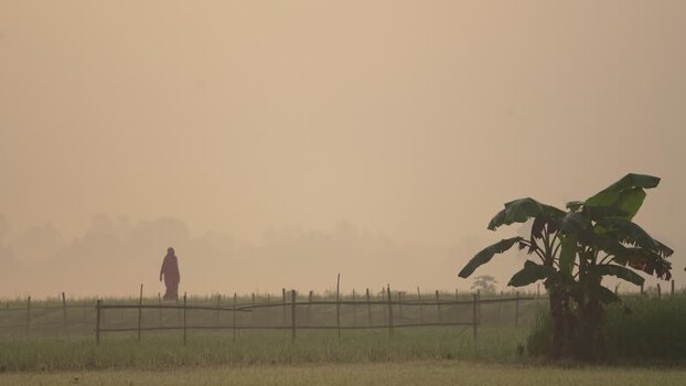 View of a person walking through misty fields Bangladesh. View of a person walking through misty fields Bangladesh.