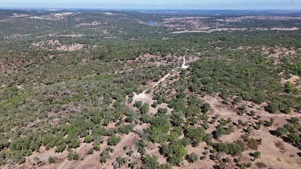 Aerial view of cork oak trees in Nossa Senhora de Guadalupe Portugal. Aerial view of cork oak trees in Nossa Senhora de Guadalupe Portugal.