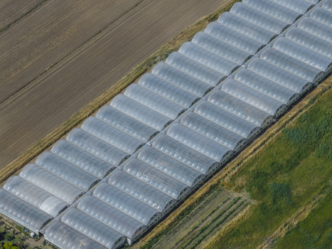 Aerial view of long rows of industrial greenhouses situated between a cultivated brown field and green vegetation in Paestum Campania Italy.