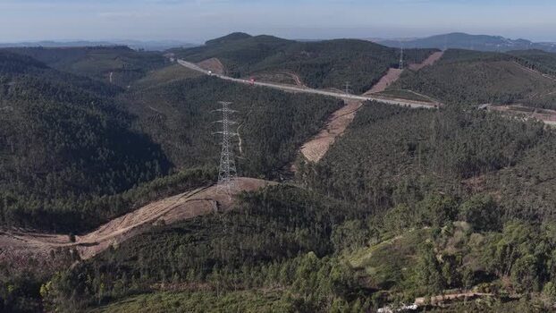 Aerial view of highway and electricity lines through a eucalyptus plantation forest Portugal.