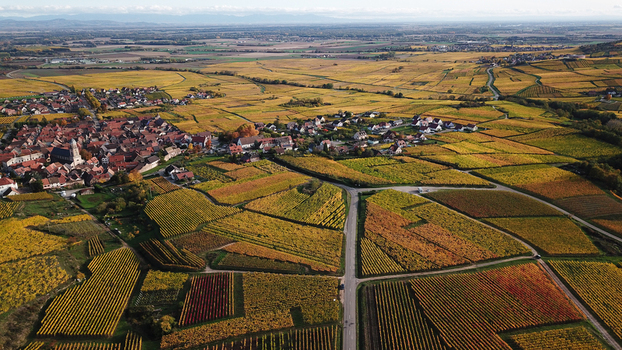 Aerial view of the Alsace vineyards surrounding the village of Orschwiller with autumn foliage rows of vines and rural roads in Orschwiller Grand Est France.