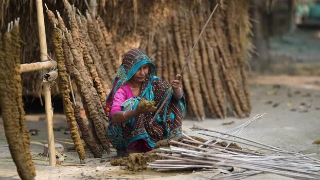 View of a woman making cow dung fuel sticks in a village Bangladesh.