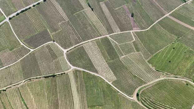 Aerial view of lush vineyards and agricultural fields France.