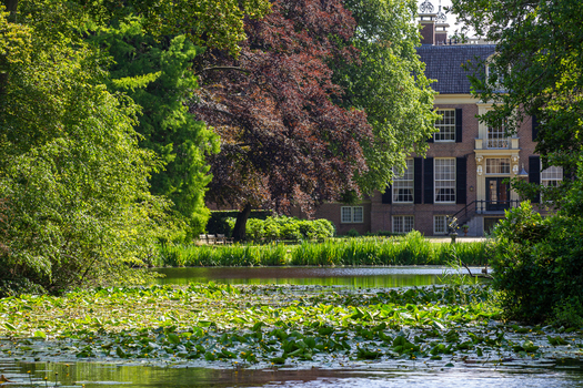 View of Castle Groeneveld with its historic brick facade framed by lush green trees and a pond filled with lily pads in Baarn Utrecht Netherlands.