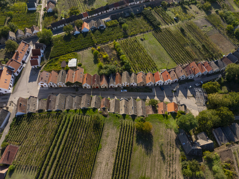 Aerial view of the historic Hajos pincefalu wine cellar village featuring rows of traditional buildings surrounded by lush vineyards and rural landscape Hajos Hungary. Aerial view of the historic Hajos pincefalu wine cellar village featuring rows of traditional buildings surrounded by lush vineyards and rural landscape Hajos Hungary.