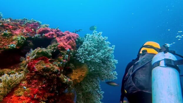 View of scuba diver exploring coral reef in Bali Indonesia.