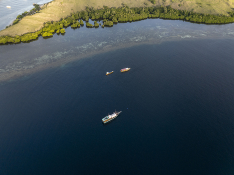 Aerial view of wooden boats anchored in deep blue waters off the coast of Komodo Island with lush green hills and mangroves in Komodo East Nusa Tenggara Indonesia.