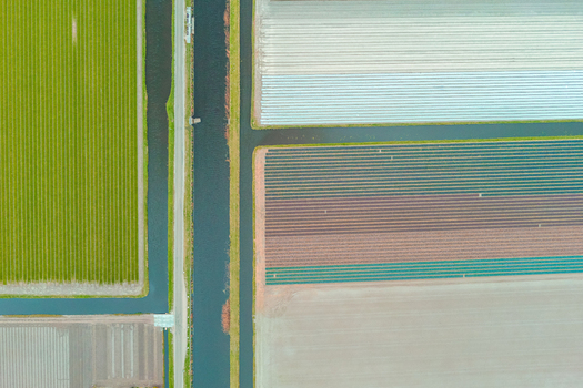 Aerial view of colorful agricultural fields and tulip beds separated by narrow canals and a road in the Netherlands.