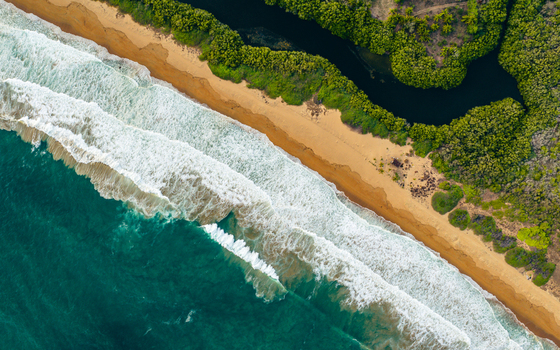 Aerial view of Punta Perula beach with turquoise waves crashing on the golden sand and dense green mangroves bordering the coastline in Punta Perula Jalisco Mexico. Aerial view of Punta Perula beach with turquoise waves crashing on the golden sand and dense green mangroves bordering the coastline in Punta Perula Jalisco Mexico.