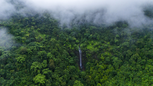 Aerial view of Kuske Waterfall cascading through a lush tropical forest under a blanket of mist and clouds in Cotigao Goa India.