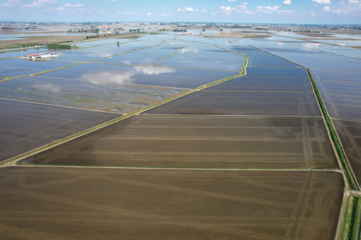 Aerial view of Azienda Agricola Veneria featuring flooded rice fields and geometric irrigation channels Veneria Piemonte Italy. Aerial view of Azienda Agricola Veneria featuring flooded rice fields and geometric irrigation channels Veneria Piemonte Italy.