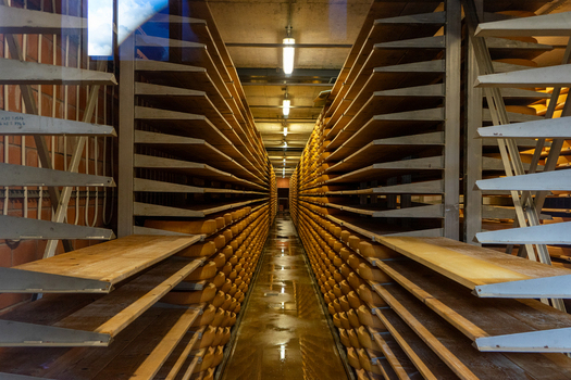 View of traditional Gruyere cheese wheels aging on wooden shelves in a long industrial cellar aisle Gruyeres Fribourg Switzerland. View of traditional Gruyere cheese wheels aging on wooden shelves in a long industrial cellar aisle Gruyeres Fribourg Switzerland.