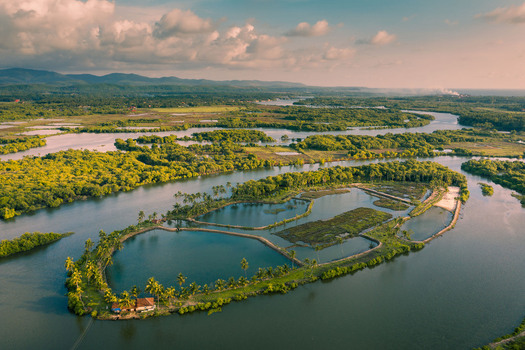Aerial view of the lush tropical landscape with winding river channels palm trees and a small island under a cloudy sky during golden hour in Orlim Goa India.