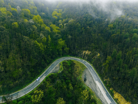 Aerial view of winding road cutting through a dense forest where the road s grey asphalt sharply contrasts with the forest s lush green canopy Novi Sad Vojvodina Serbia. Aerial view of winding road cutting through a dense forest where the road s grey asphalt sharply contrasts with the forest s lush green canopy Novi Sad Vojvodina Serbia.
