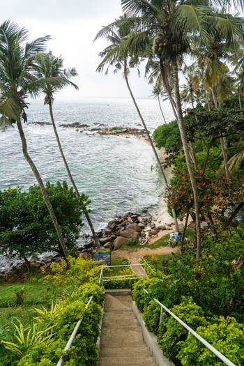 View of Secret Beach Mirissa with palm trees framing the turquoise ocean and rocky shoreline in Mirissa Southern Province Sri Lanka. View of Secret Beach Mirissa with palm trees framing the turquoise ocean and rocky shoreline in Mirissa Southern Province Sri Lanka.