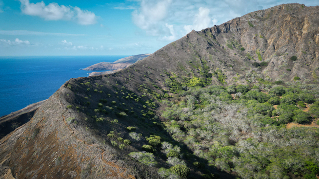 Aerial view of the rugged sun baked slopes of Koko Head volcano cascading into the deep blue Pacific a contrast of arid earth and endless ocean Honolulu United States. Aerial view of the rugged sun baked slopes of Koko Head volcano cascading into the deep blue Pacific a contrast of arid earth and endless ocean Honolulu United States.