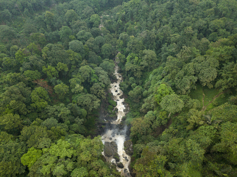 Aerial view of the cascading waterfall slicing through a dense forest canopy a vibrant ribbon of white against the deep greens Curugsewu Central Java Indonesia. Aerial view of the cascading waterfall slicing through a dense forest canopy a vibrant ribbon of white against the deep greens Curugsewu Central Java Indonesia.