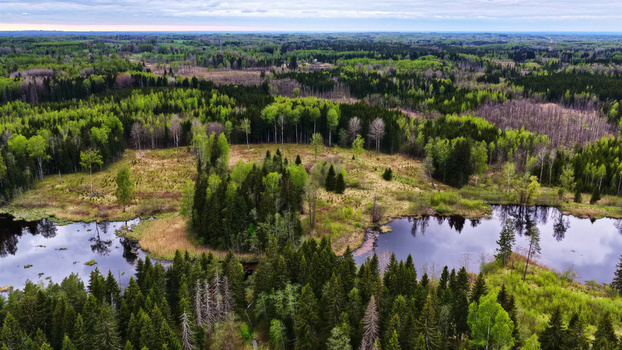 Aerial view of a lush forest landscape featuring a calm pond surrounded by dense coniferous and deciduous trees in Latvia. Aerial view of a lush forest landscape featuring a calm pond surrounded by dense coniferous and deciduous trees in Latvia.