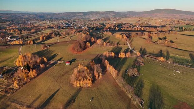Aerial view of fields and trees Slovakia.